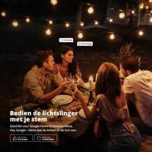 FlinQ Smart In- and Outdoor String Light Premium - Afbeelding 8