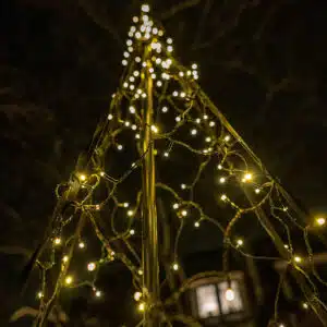 FlinQ 600 LED Luminus Slimme Kerstboom - Afbeelding 11