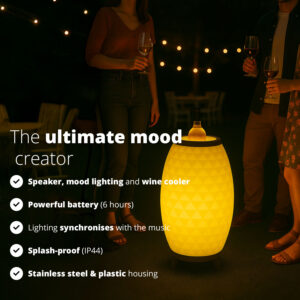 FlinQ Wireless Speaker Lamp and Wine Cooler - Image 2